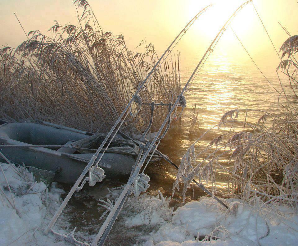 Prima Partida 2013 - Tancabesti Vaci 0 - 14720244441016023560412111661908n.jpg